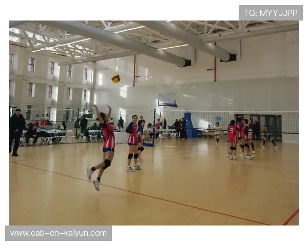 世界排球锦标赛激战正酣，中国队奋勇争先，世界排球世锦赛