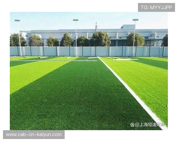 2026年足球基层场馆维护与绿色改造补贴申报通告，足球场修建补贴